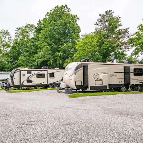 row of rvs parked in trees